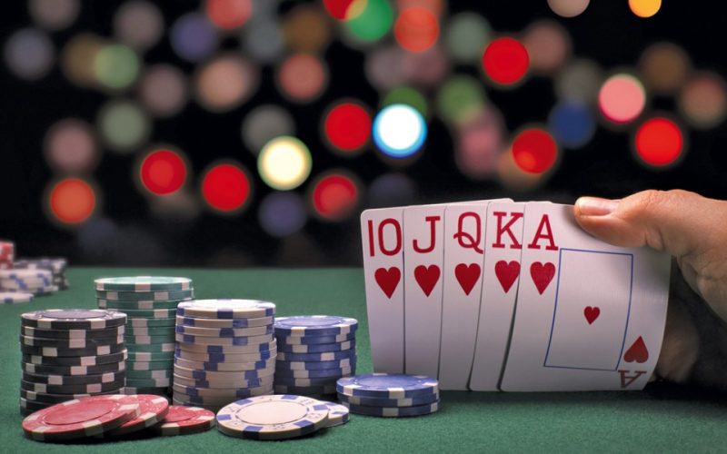 article_13573_featured_1771494741